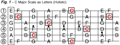 Lesson 5 holistic view